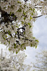 5476506-6773163-thumbnail.jpg