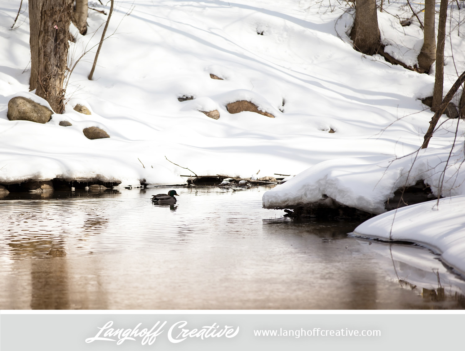 LanghoffCreative-20130308-winter4-image.jpg