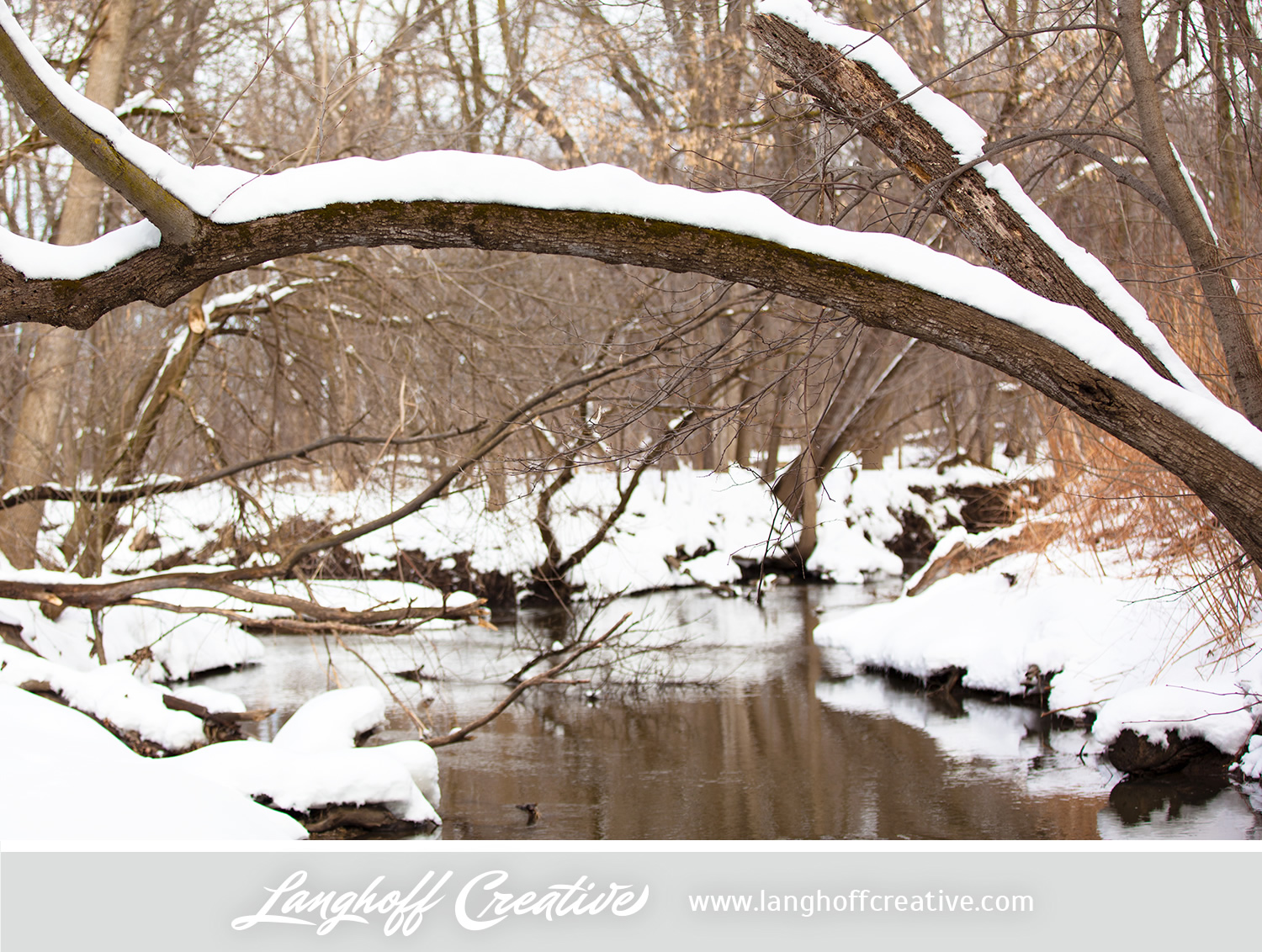 LanghoffCreative-20130308-winter13-image.jpg