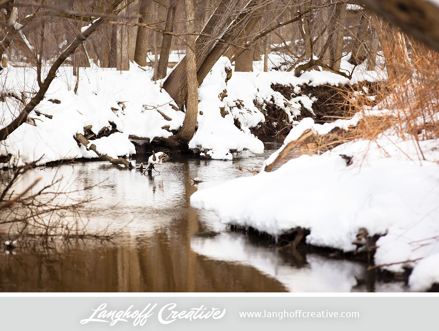 LanghoffCreative-20130308-winter14-image.jpg