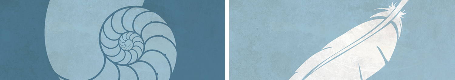 creationday5-preview.jpg