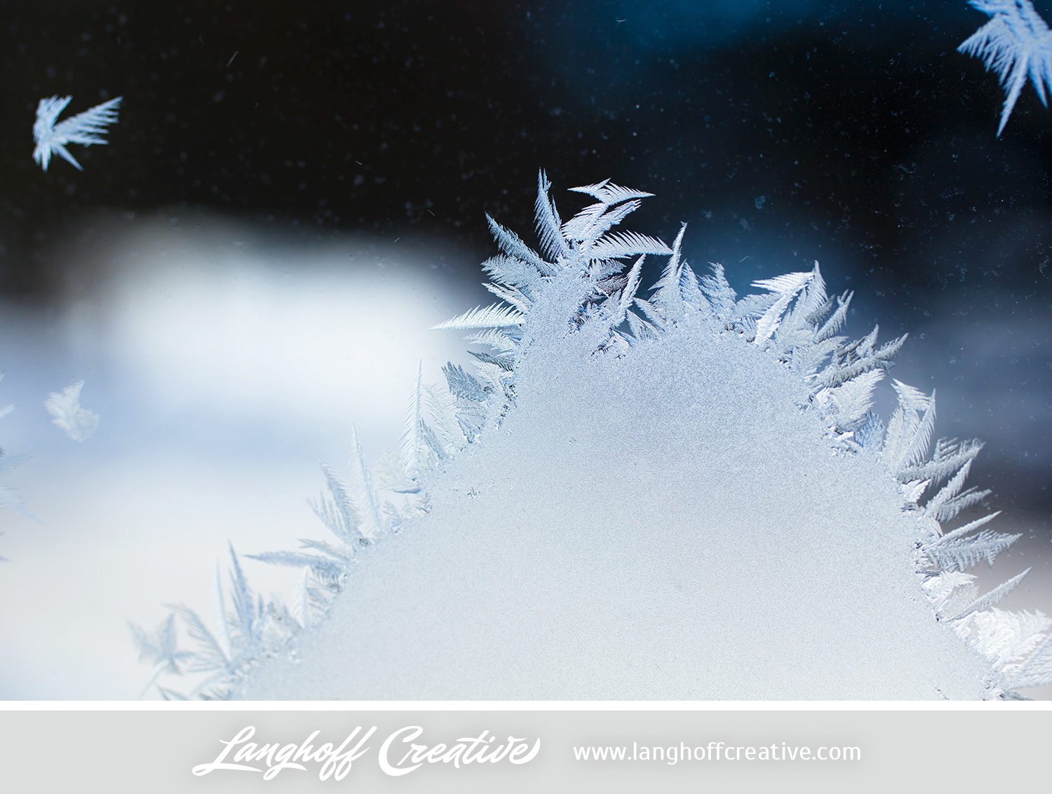 LanghoffCreative-frost-macro-photography_Jan06-2014-photo-7.jpg