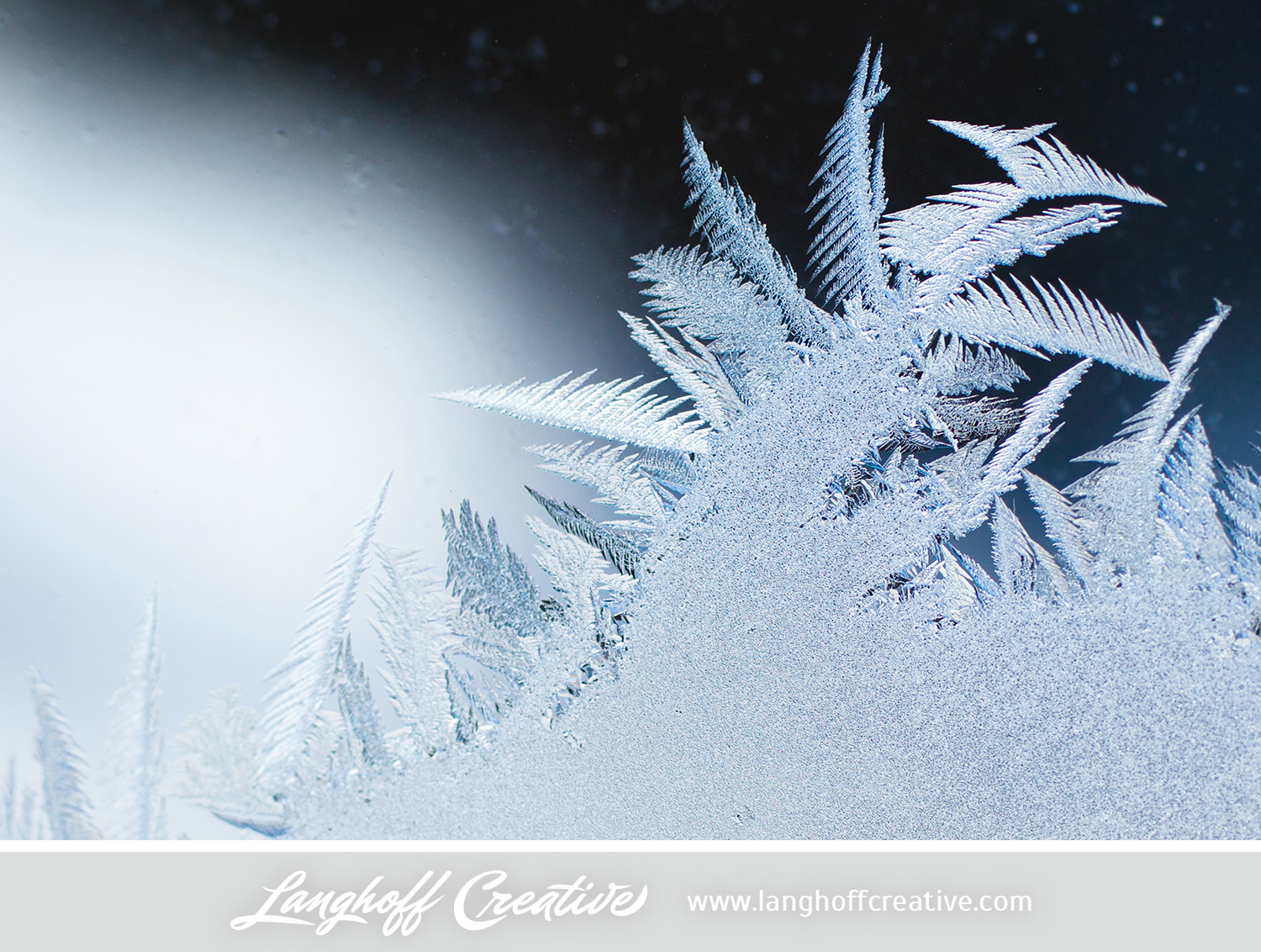 LanghoffCreative-frost-macro-photography_Jan06-2014-photo-8.jpg