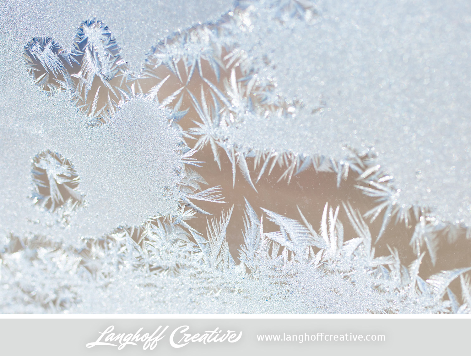 LanghoffCreative-frost-macro-photography_Jan06-2014-photo-9.jpg