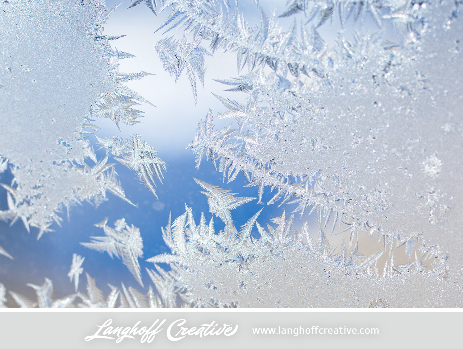 LanghoffCreative-frost-macro-photography_Jan06-2014-photo-10.jpg