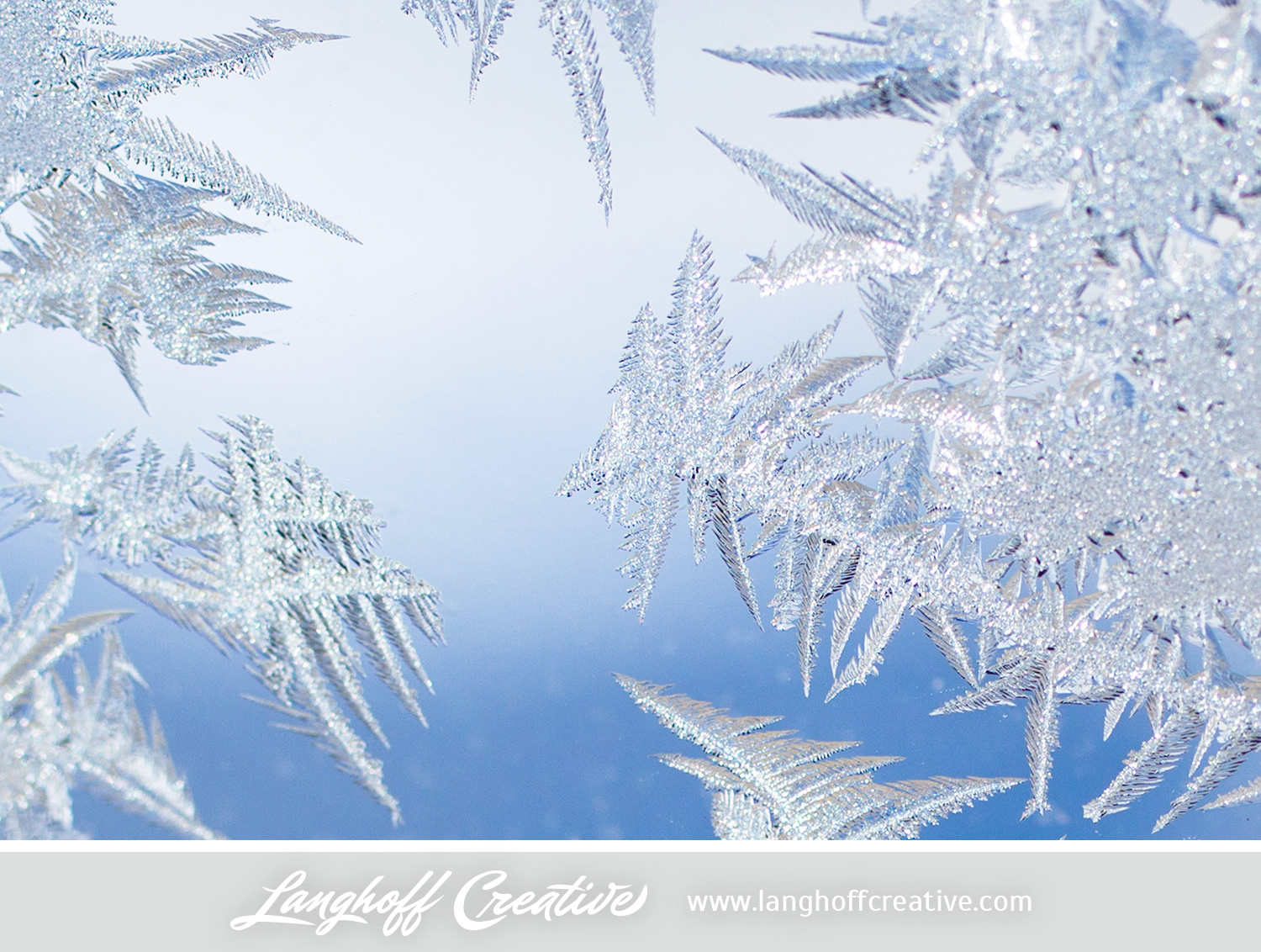 LanghoffCreative-frost-macro-photography_Jan06-2014-photo-12.jpg