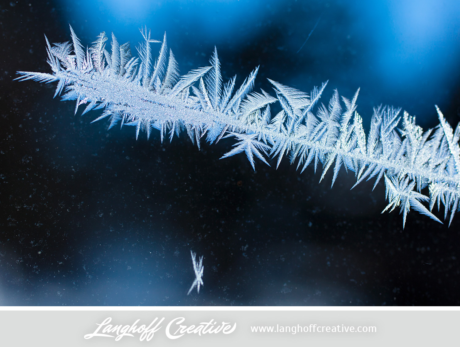 LanghoffCreative-frost-macro-photography_Jan06-2014-photo-13.jpg