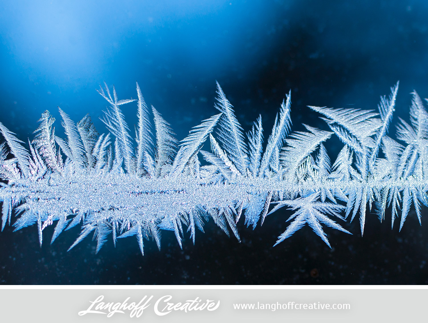 LanghoffCreative-frost-macro-photography_Jan06-2014-photo-14.jpg