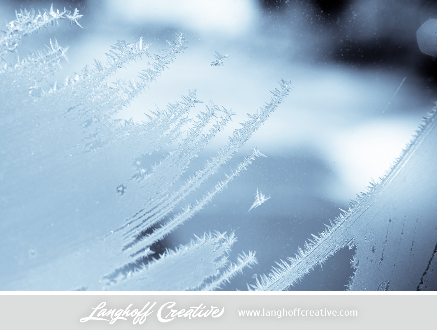 LanghoffCreative-frost-macro-photography_Jan06-2014-photo-16.jpg