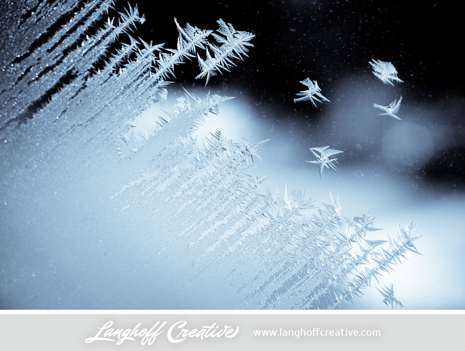 LanghoffCreative-frost-macro-photography_Jan06-2014-photo-17.jpg