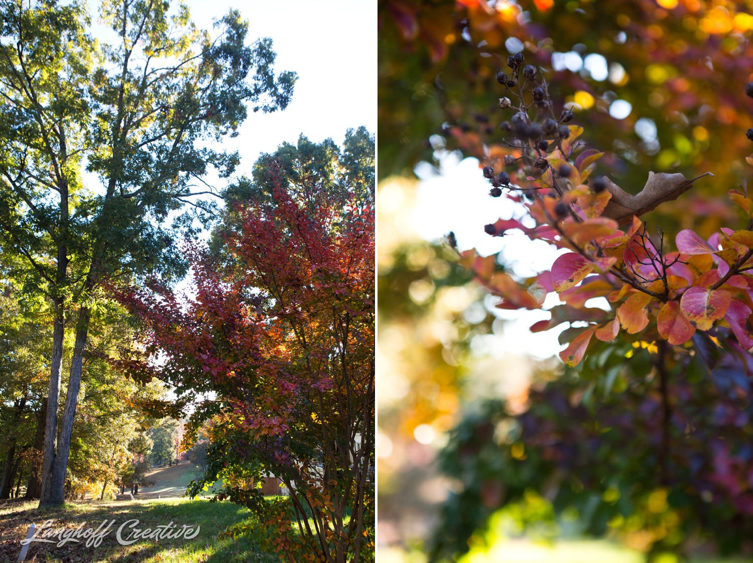 FallColors-FallMorning-LanghoffCreative-20141030-8-photo.jpg