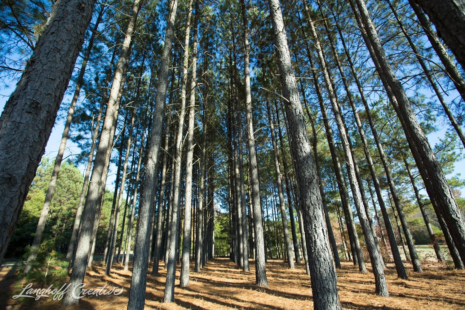 Beautiful Bright Side Youth Ranch