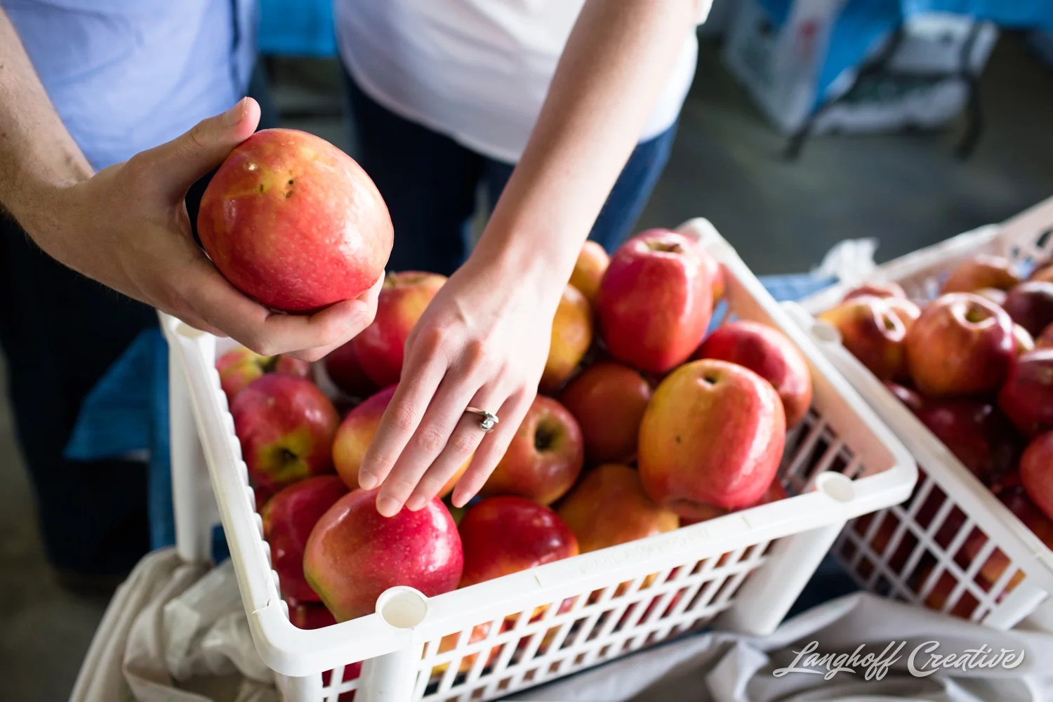 Aaron & Elizabeth | A farmer's market Engagement Session