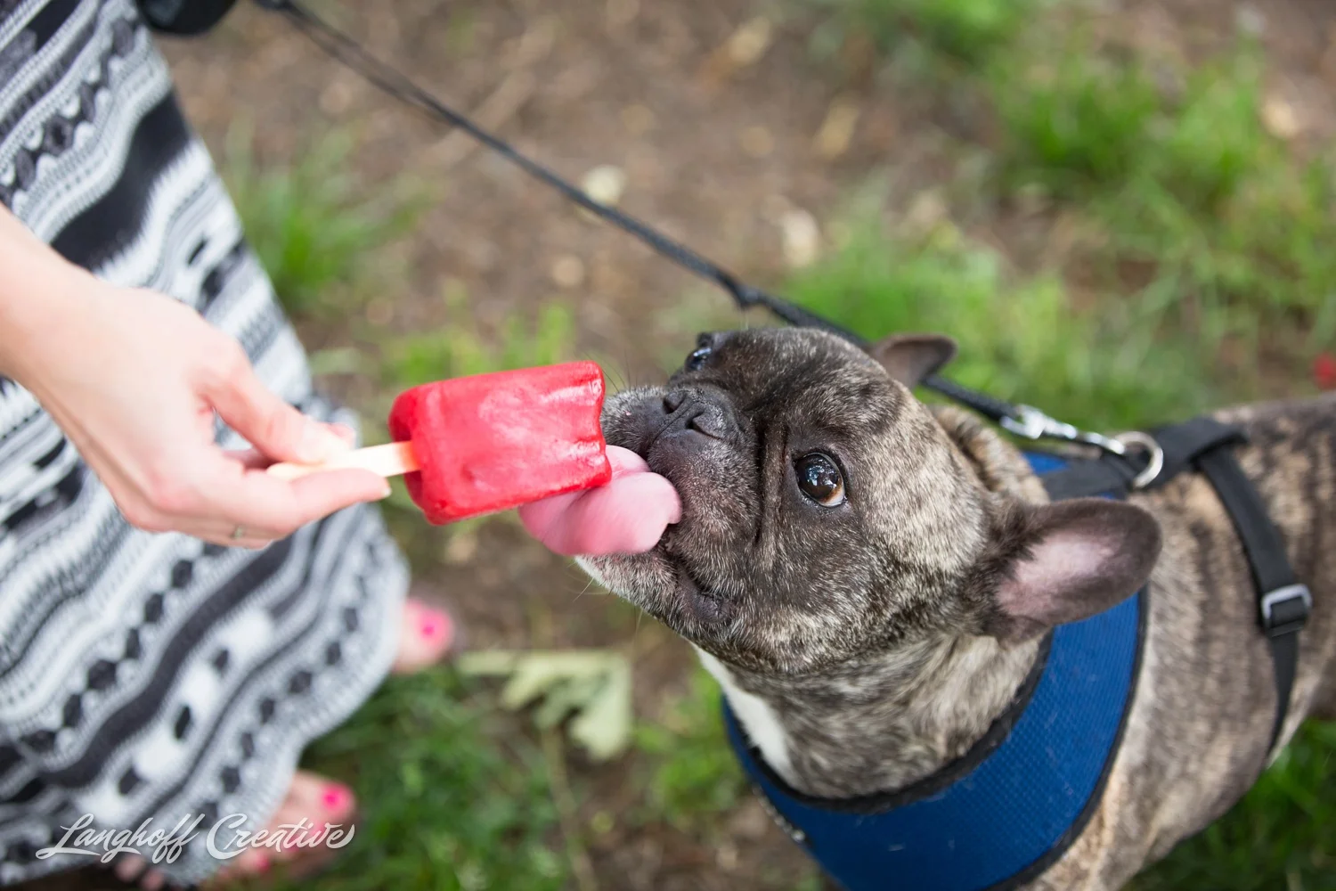 Andrea and Vinny, BFF's | Real Life Session