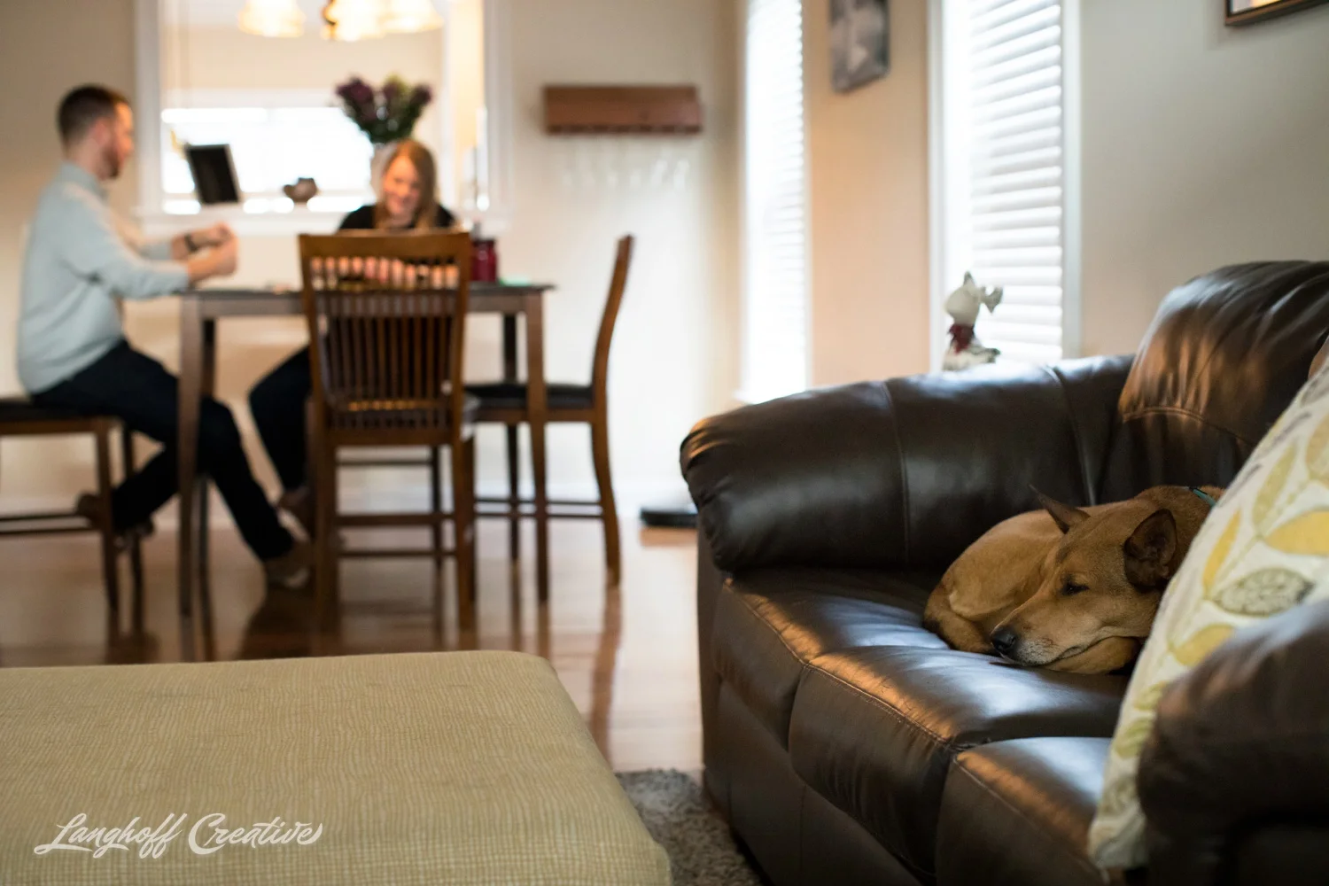 20171118-ByrdChristmas-Dogs-Holidays-LanghoffCreative-RealLifeSession-DocumentaryFamilyPhotography-RDUphotographer-7-photo.jpg