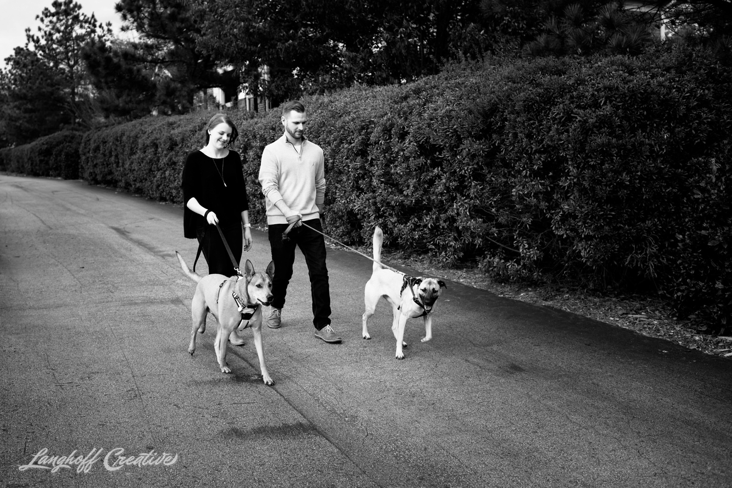 20171118-ByrdChristmas-Dogs-Holidays-LanghoffCreative-RealLifeSession-DocumentaryFamilyPhotography-RDUphotographer-8-photo.jpg
