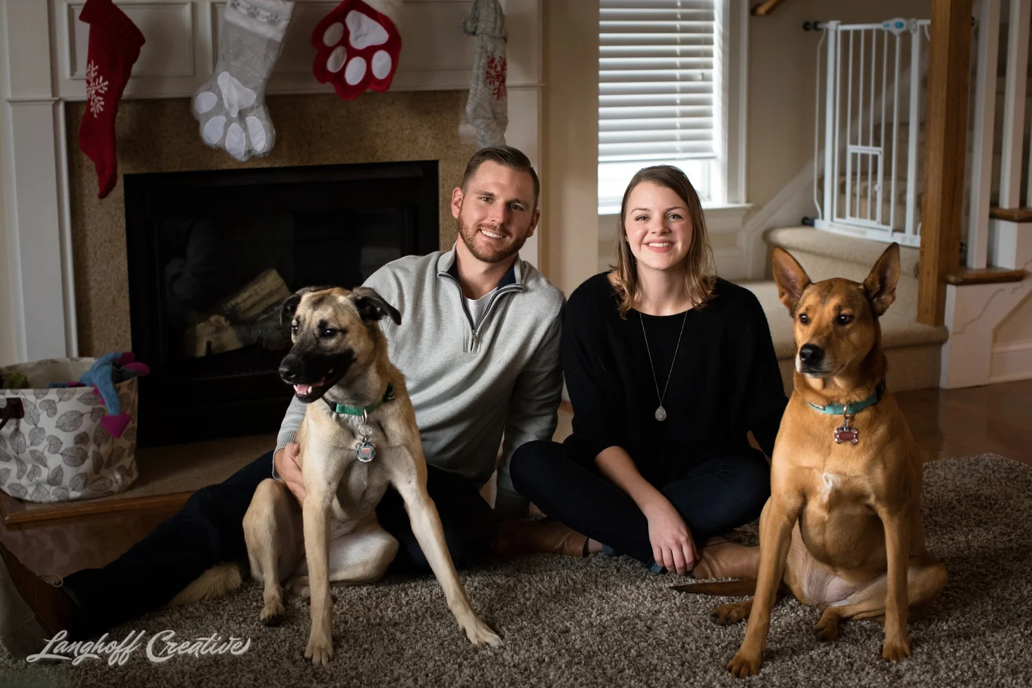 20171118-ByrdChristmas-Dogs-Holidays-LanghoffCreative-RealLifeSession-DocumentaryFamilyPhotography-RDUphotographer-16-photo.jpg