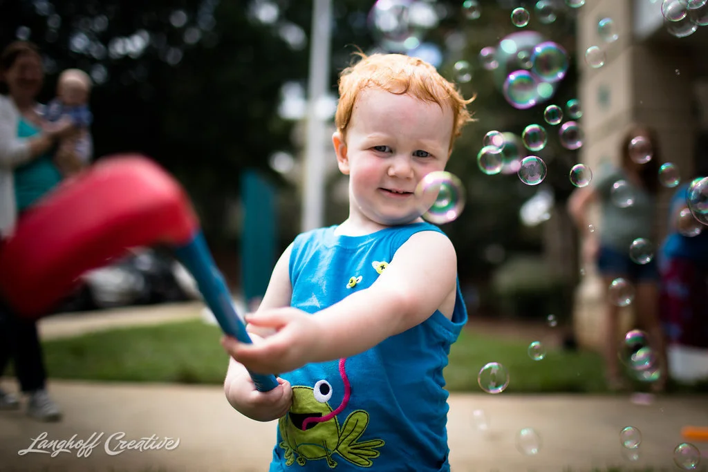 Nolia Families, Oct 2019