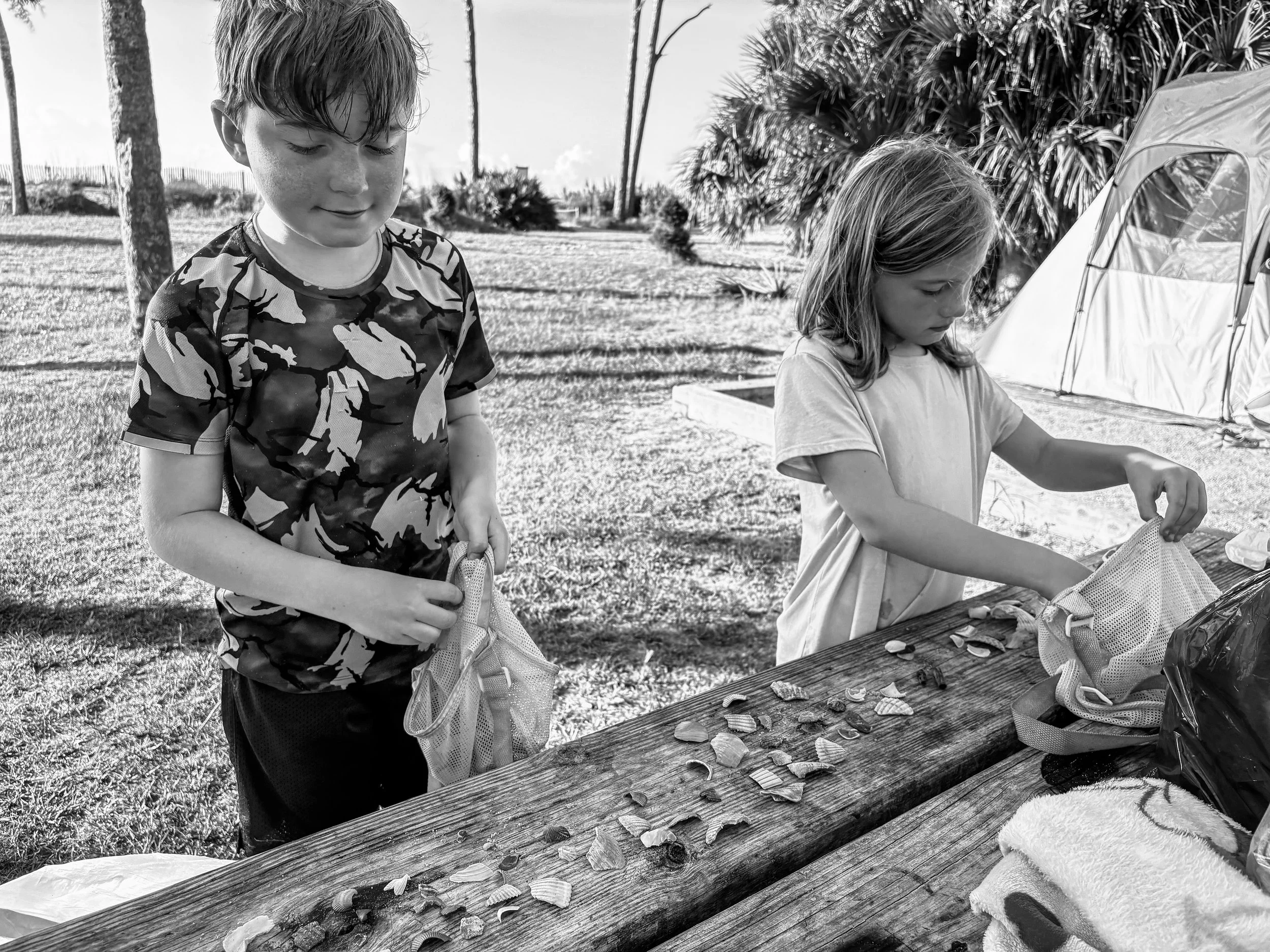 LanghoffCreative-Homeschool-Session-Shells.jpg