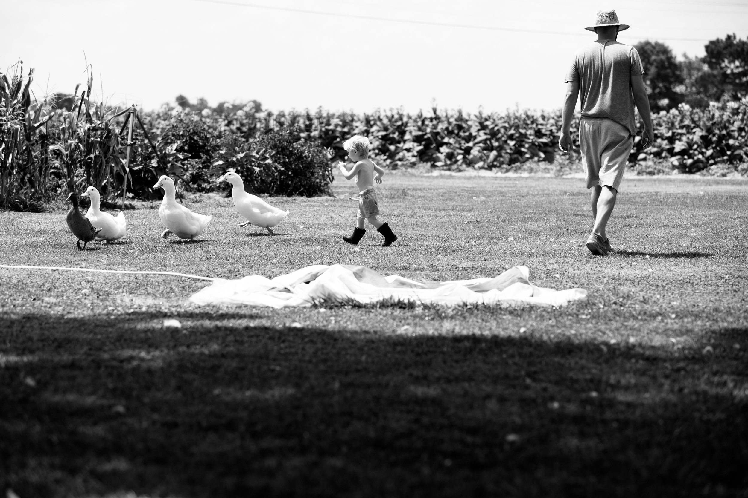 2017-06-27_CollinsFamily-RealLife-14.jpg