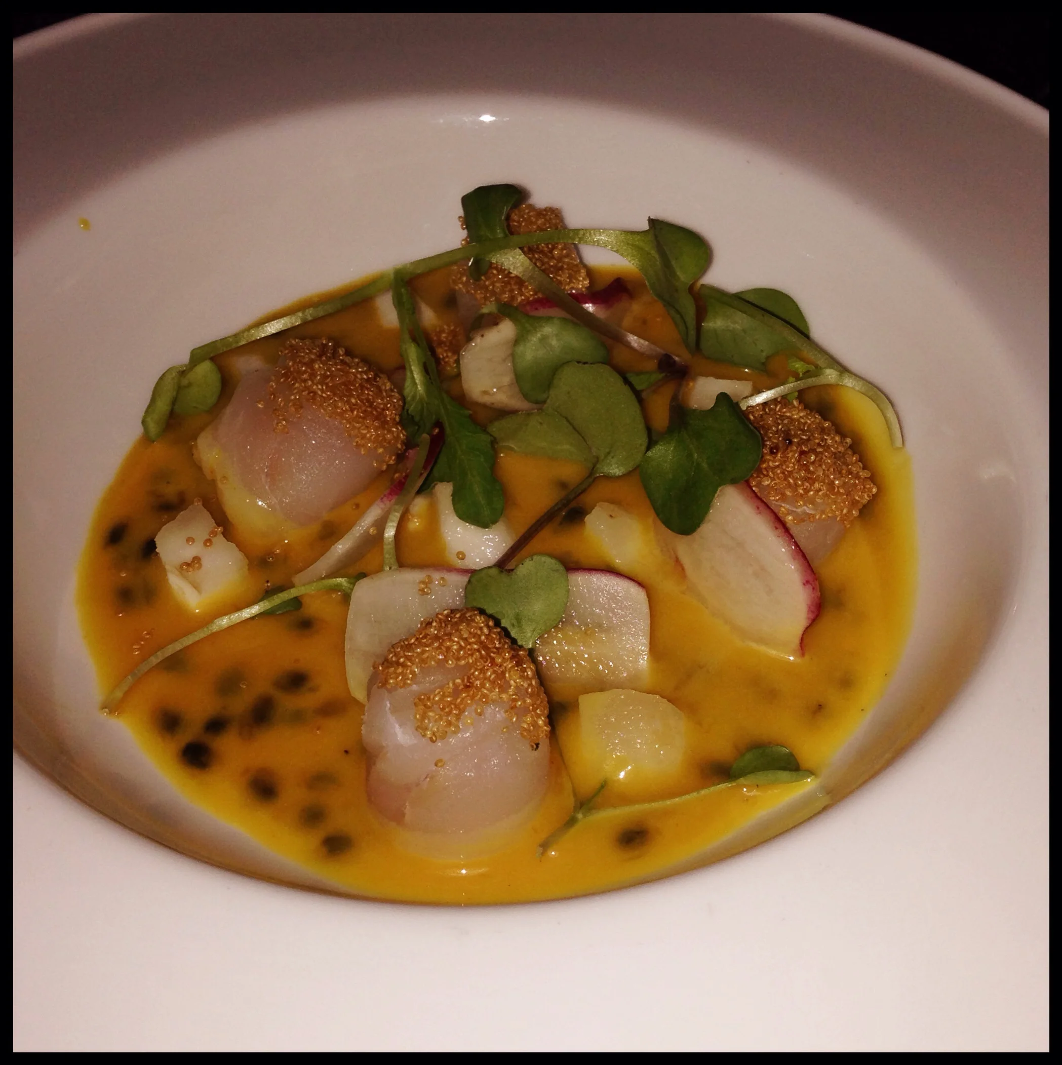 Fluke Crudo - photo by Anastasia Vener