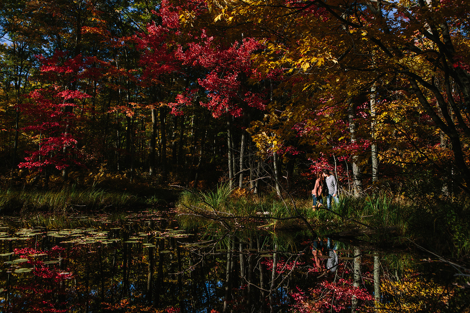 northern_mn_forest_fall_engagement_session_07.jpg