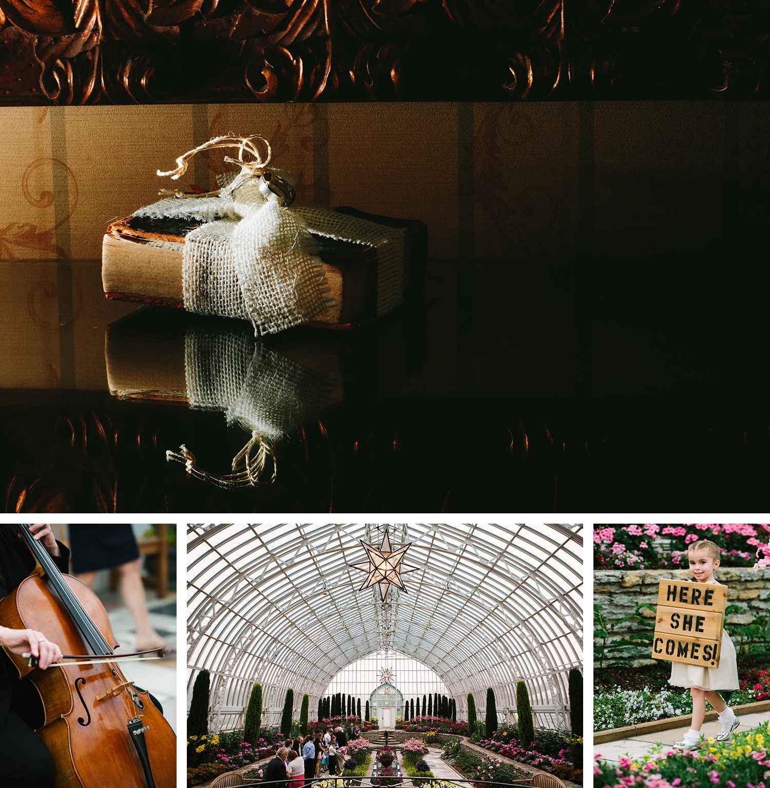 14_Saint_Paul_Hotel_Landmark_Center_wedding.jpg
