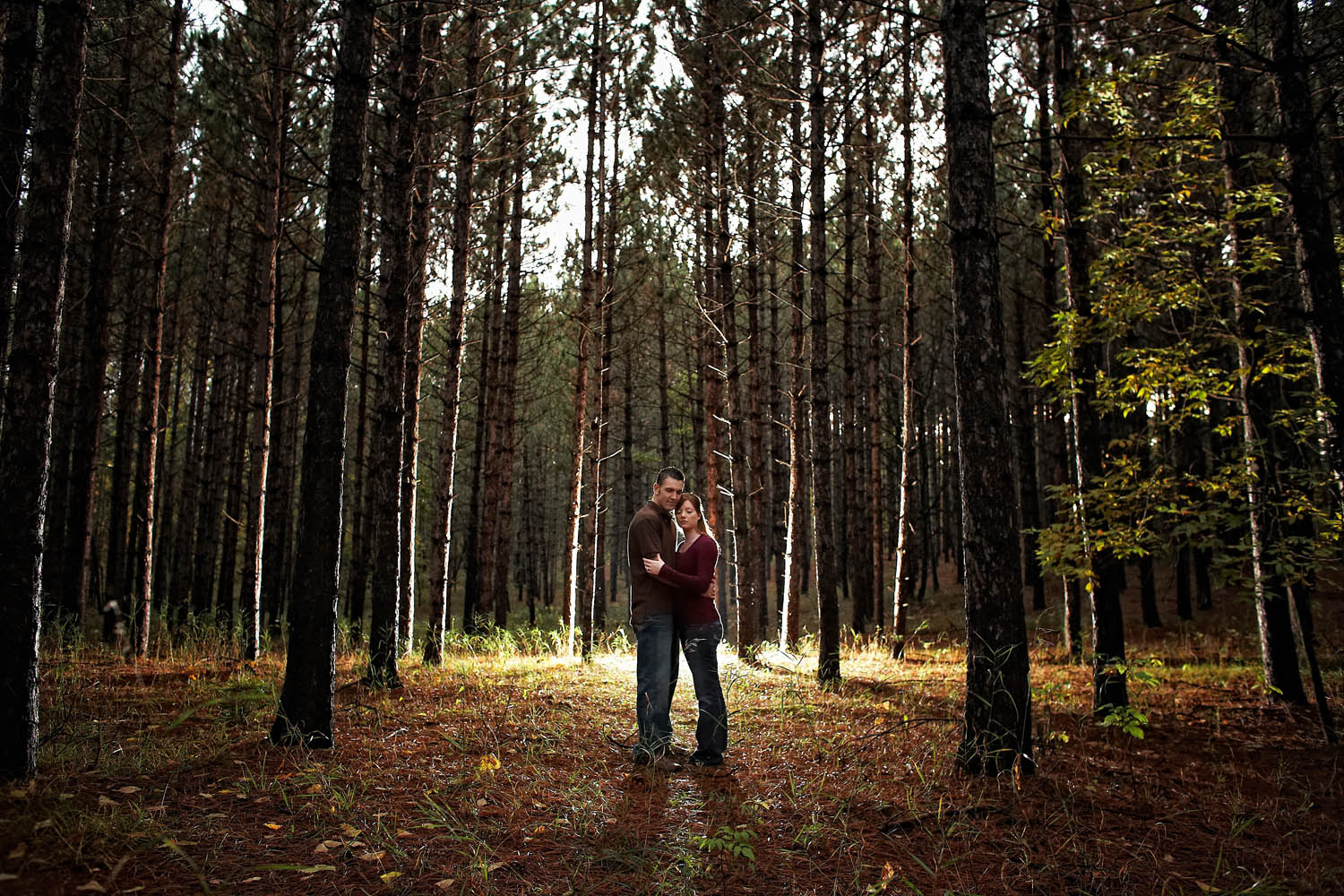 northern mn forest engagement session