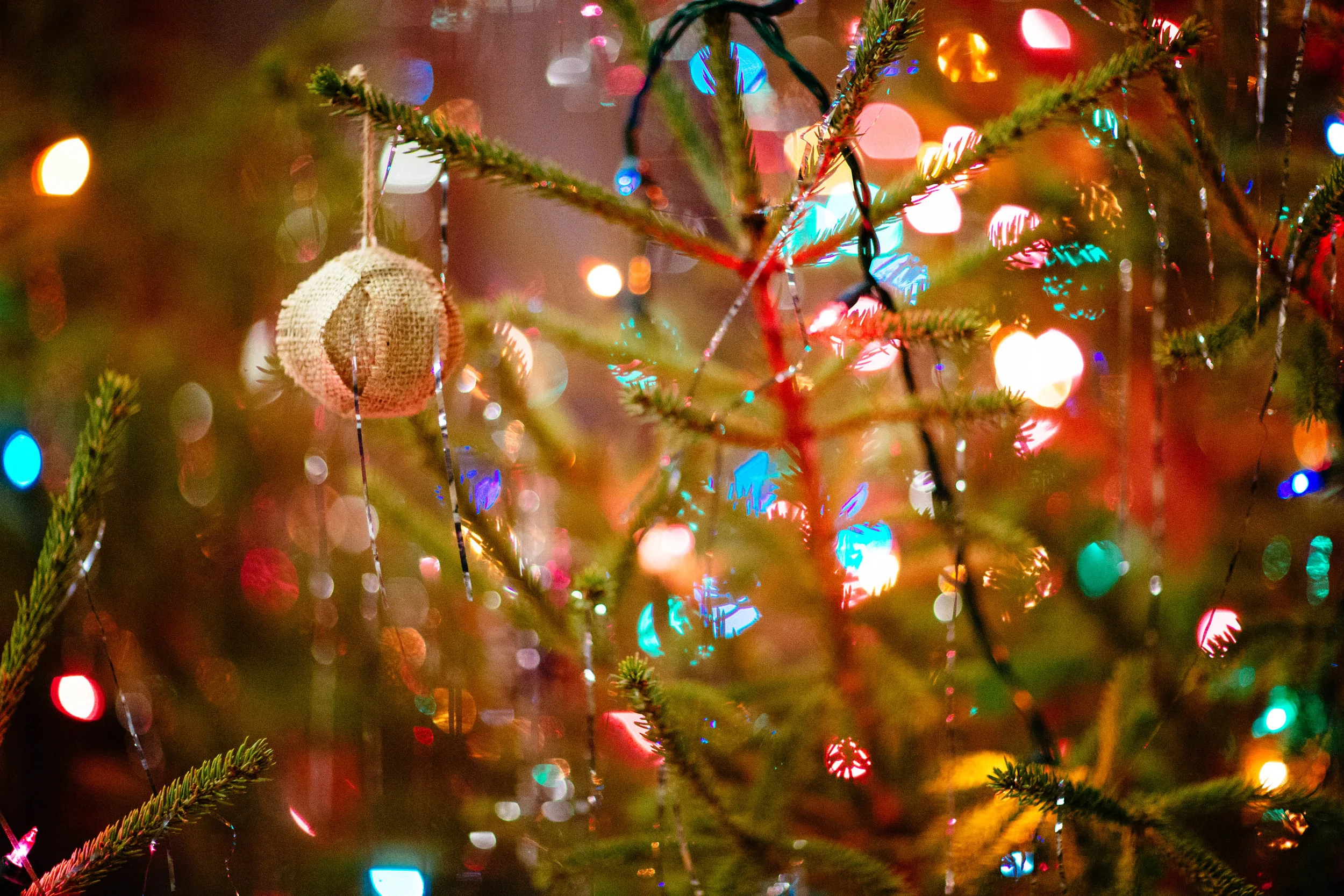 Winter Wedding Decor at Oliver Acreage Bed and Breakfast In Brai