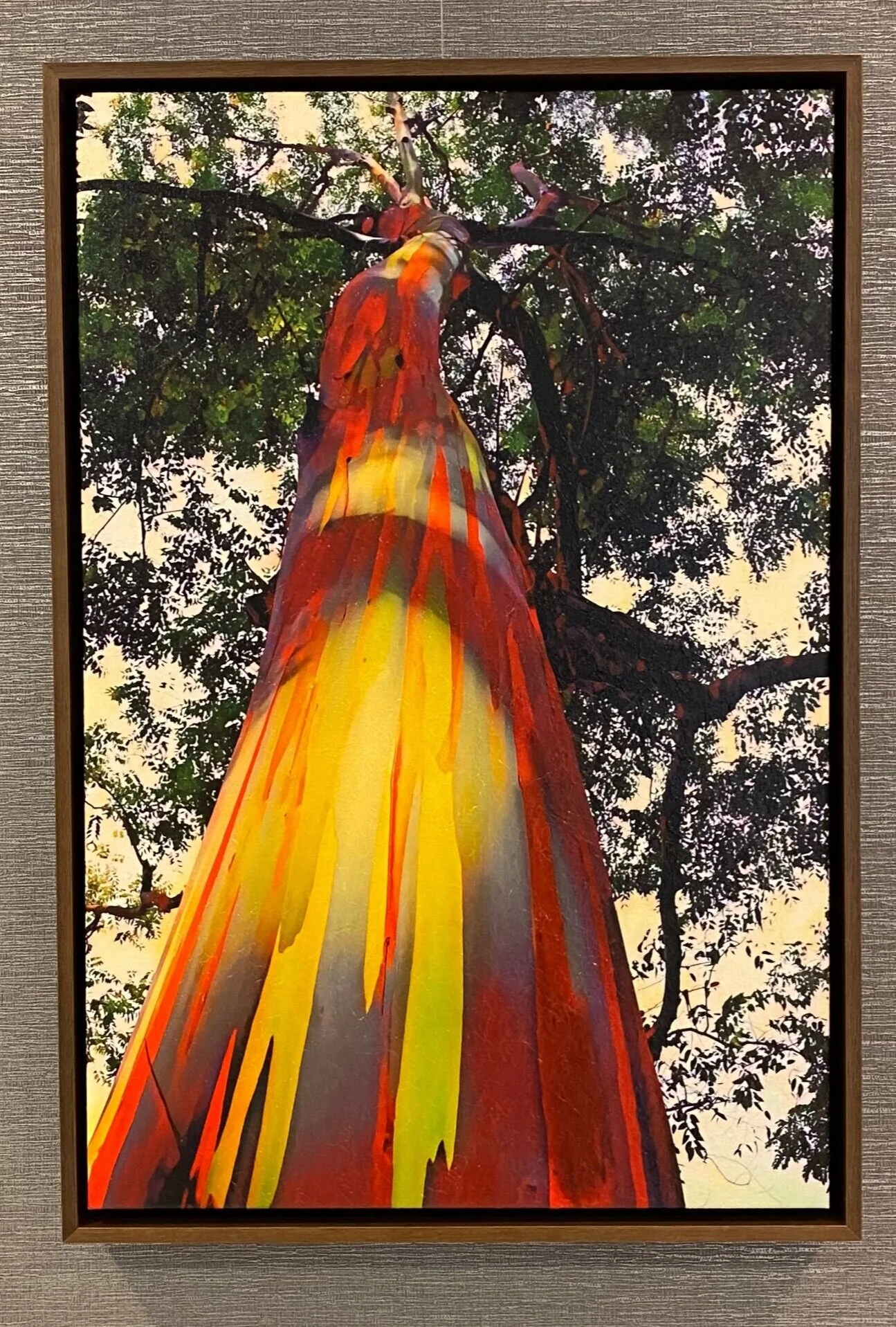 E8F1CE03-8136-4556-80EC-3BA3F375F362