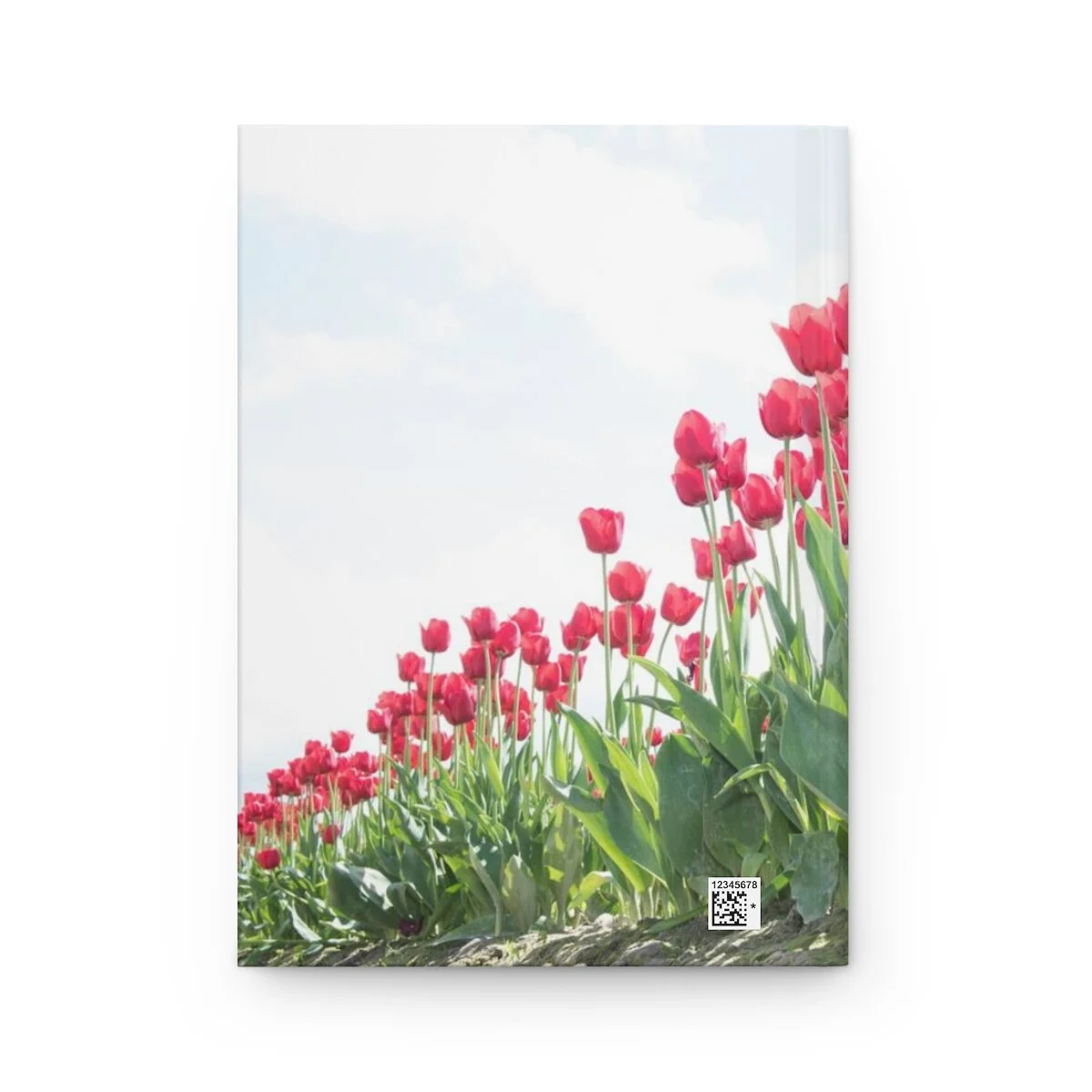 c897e890f06f1eb061d45aaa4f1a8e43