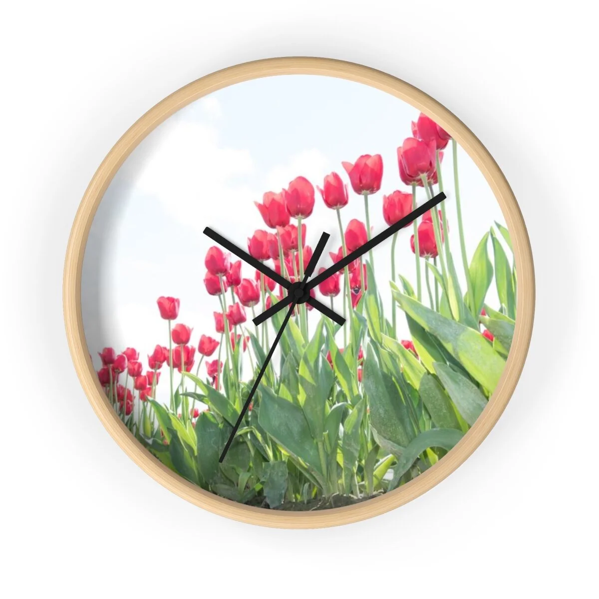 a6cea9bce7189bc919e58fb2ccc0e892