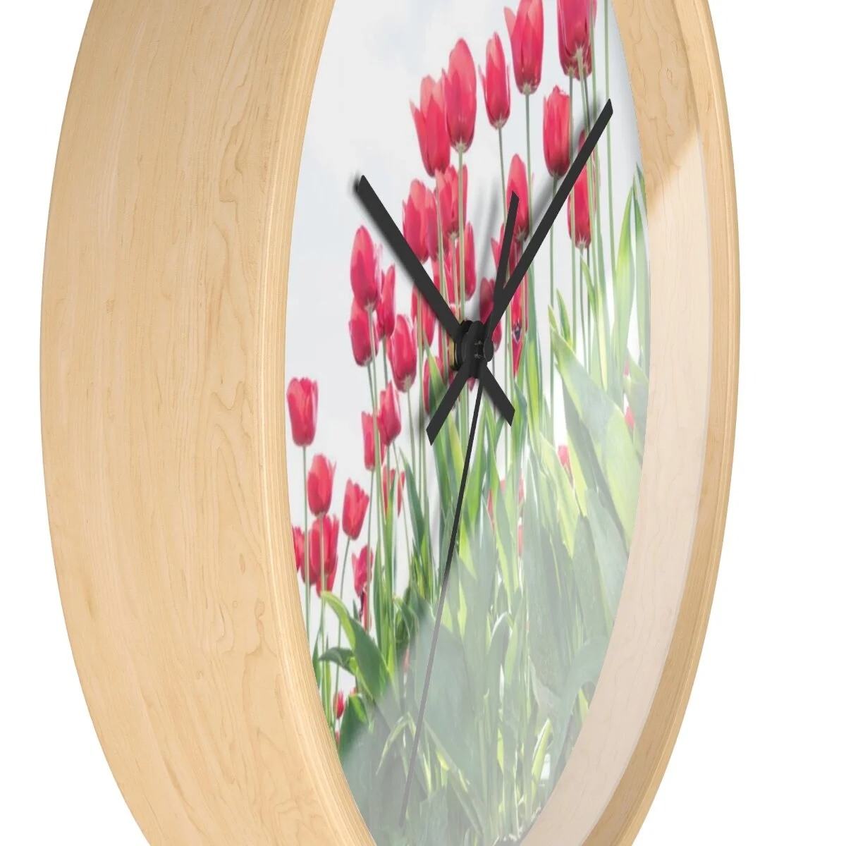 37a1c27183029c0cedec708b83b2e92f