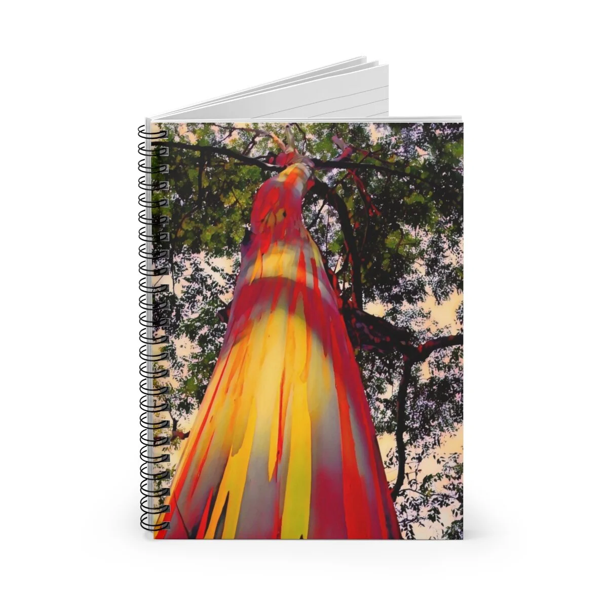 7634bdfe2cf9c59b1e3cf369a168ba44