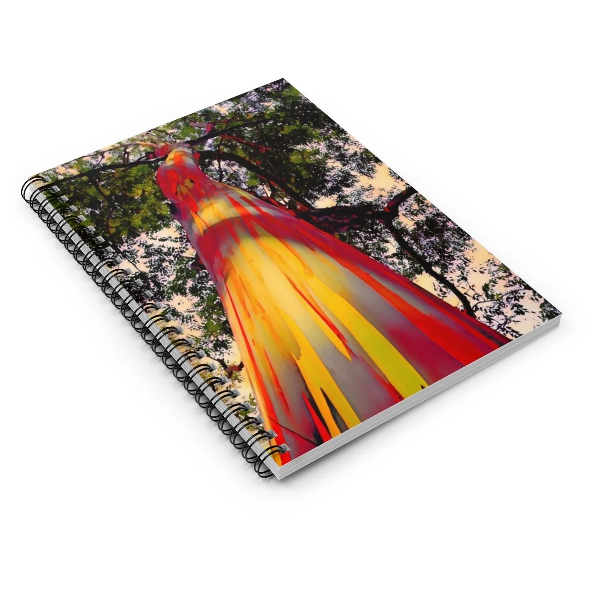 1ad26ea9cdaec5f6ab371edae7d91588