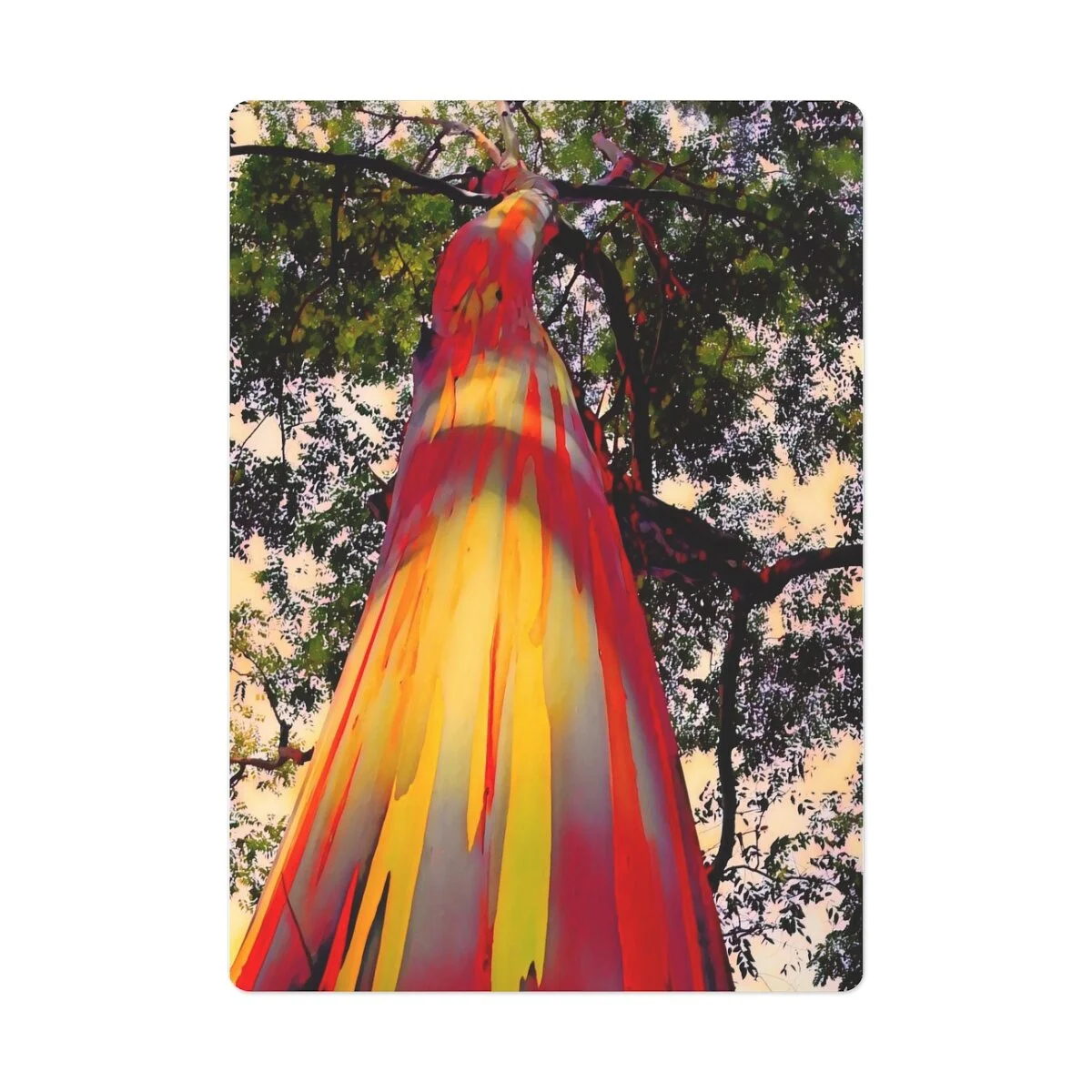 ab5dcf43549101953d14b1d85bd57446