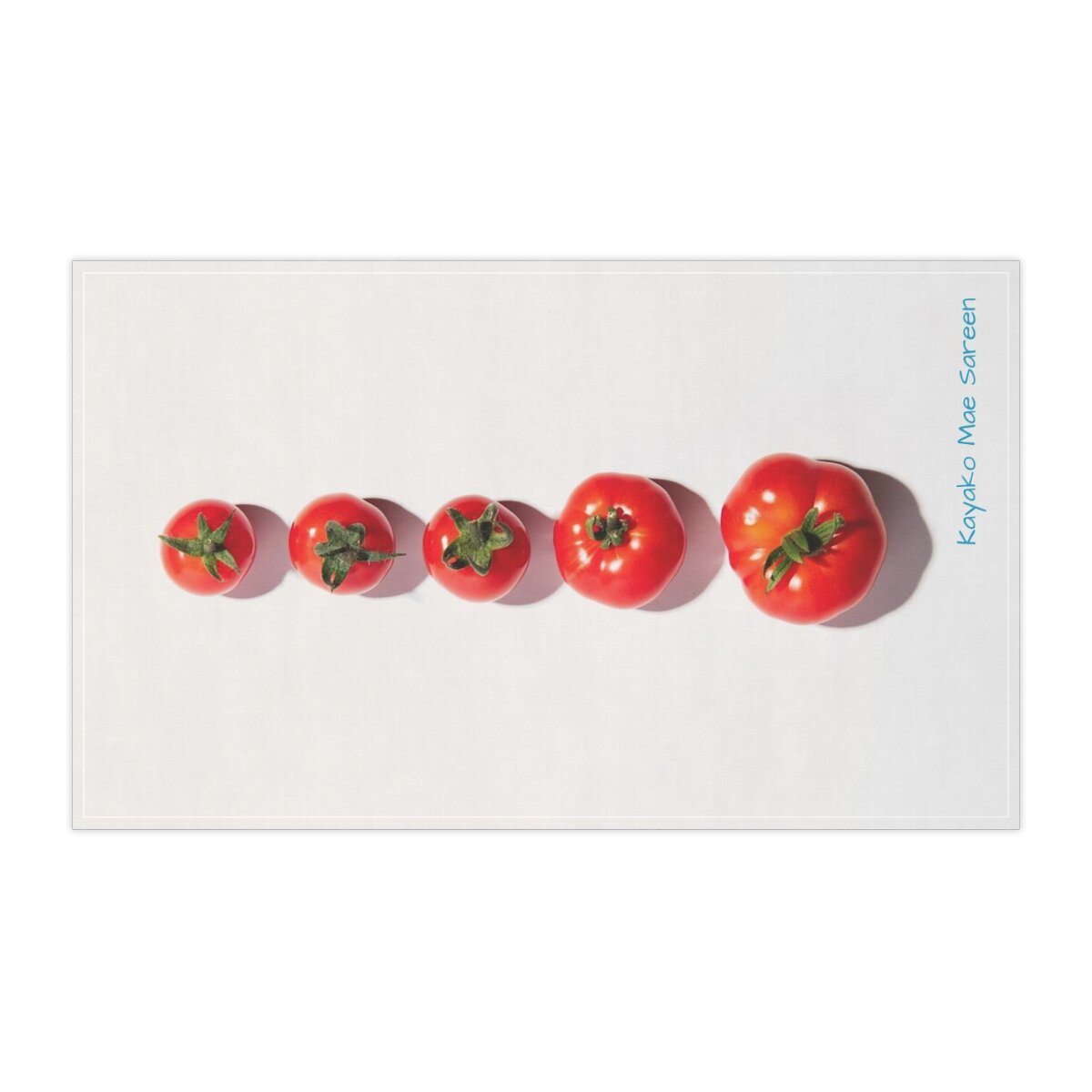 08f7ea2e3f8788f004fe6773f24988b2