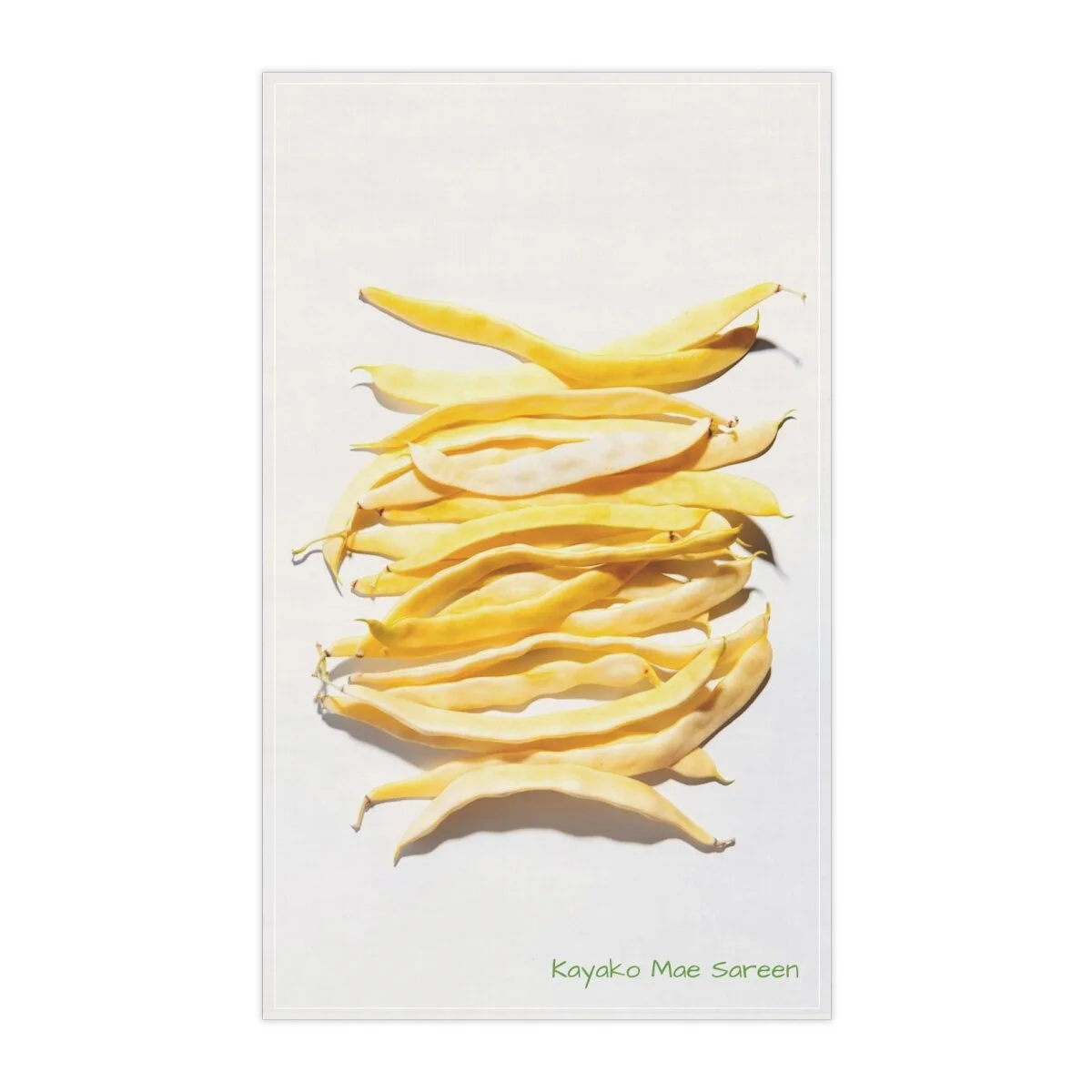 9be1cc9f0e12abdbea901b6baf47e81b