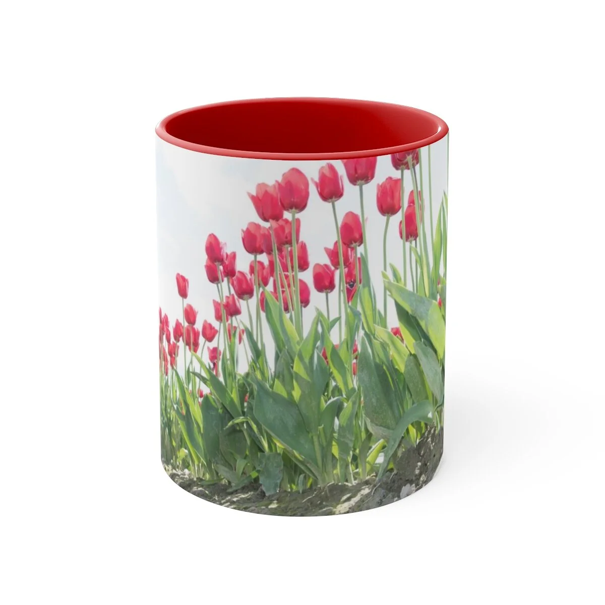 bb29f5d25611567dc195f659c59828f5