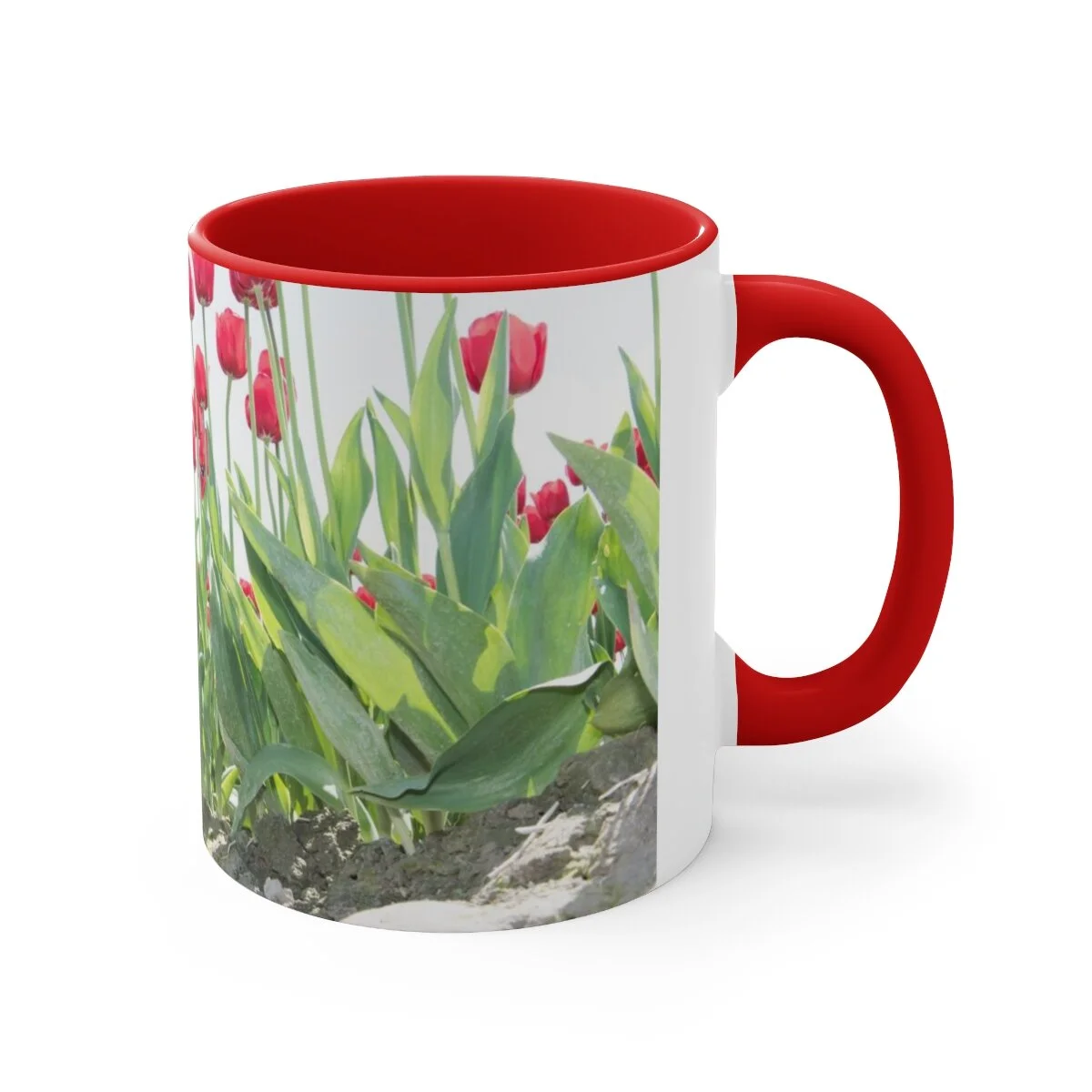 284519e6bab6f6a2319ebb1143bce4c2