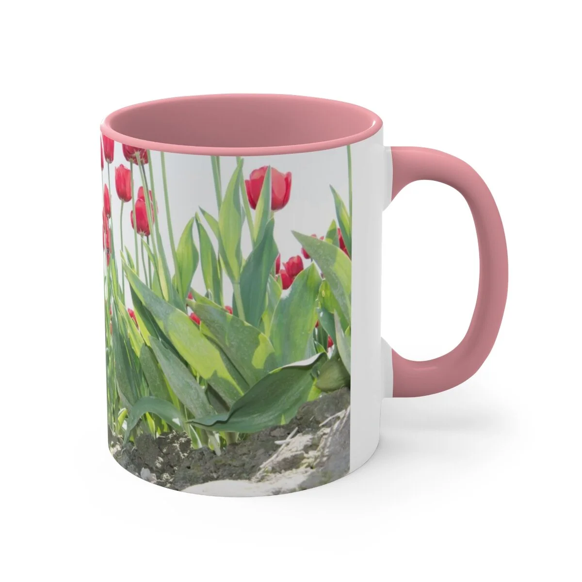 94f3b6e5ed5661bbe8bf3b670f8c0069