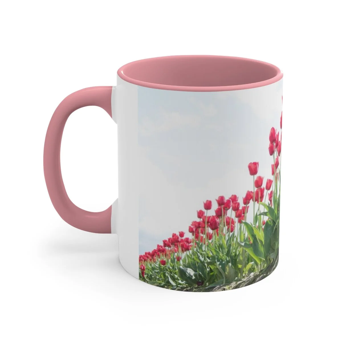 99bb60dfc54d90e22ce665a75103bac1