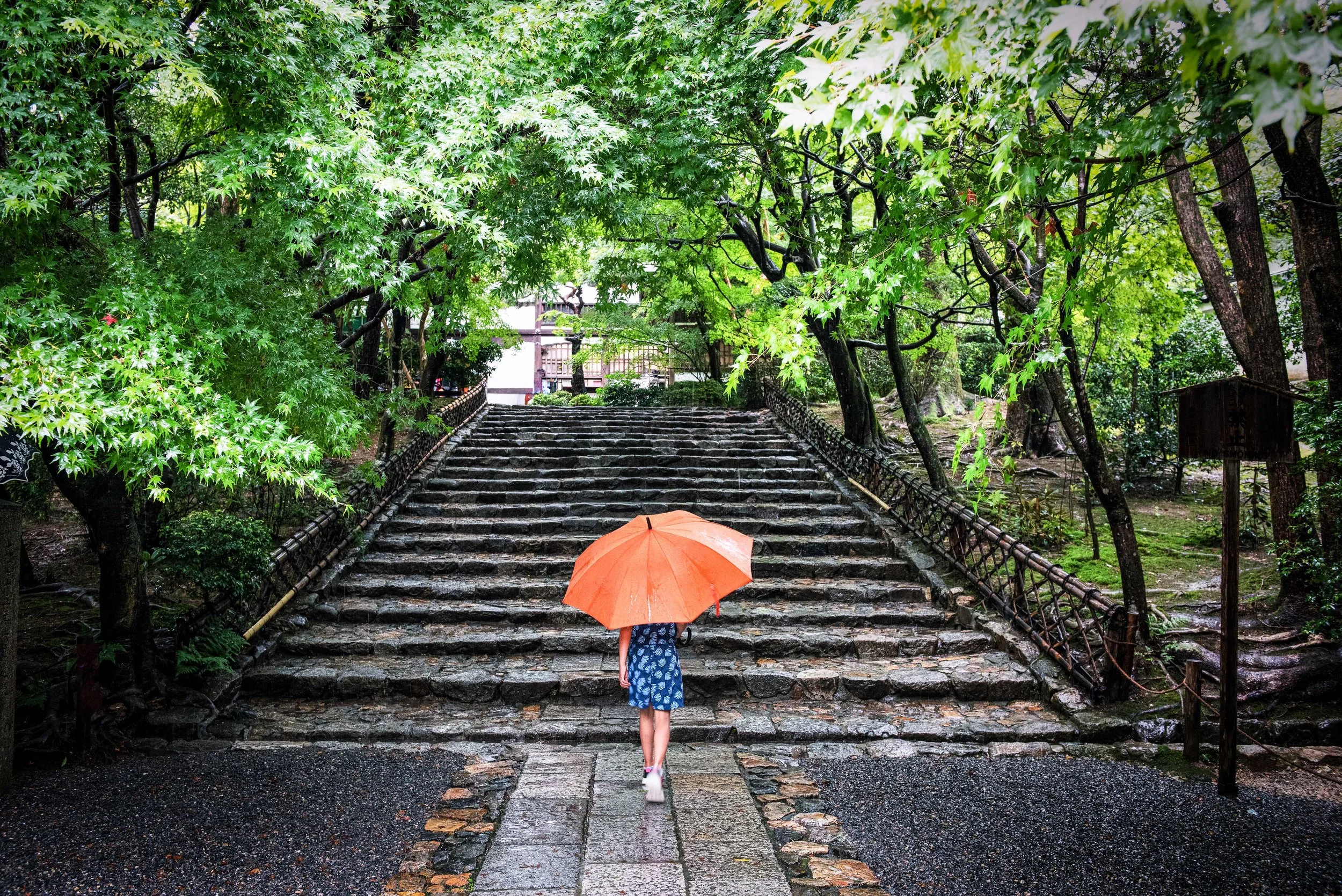 17KyotoOrangeUmbrella©KayakoSareen.jpg