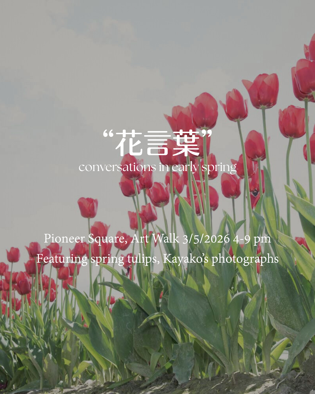 Kayako's Photography Exhibition - March 2026