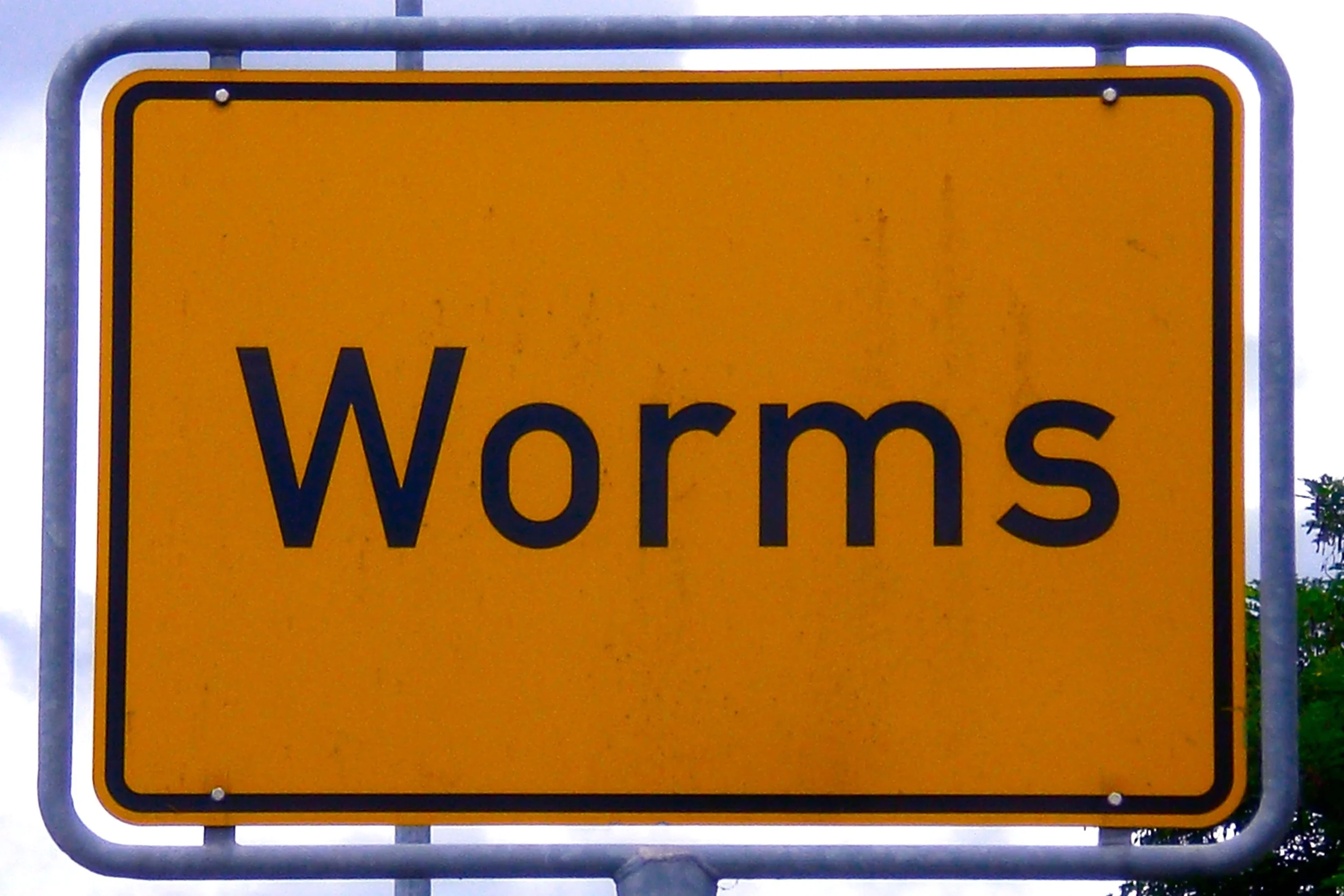 worms.jpg