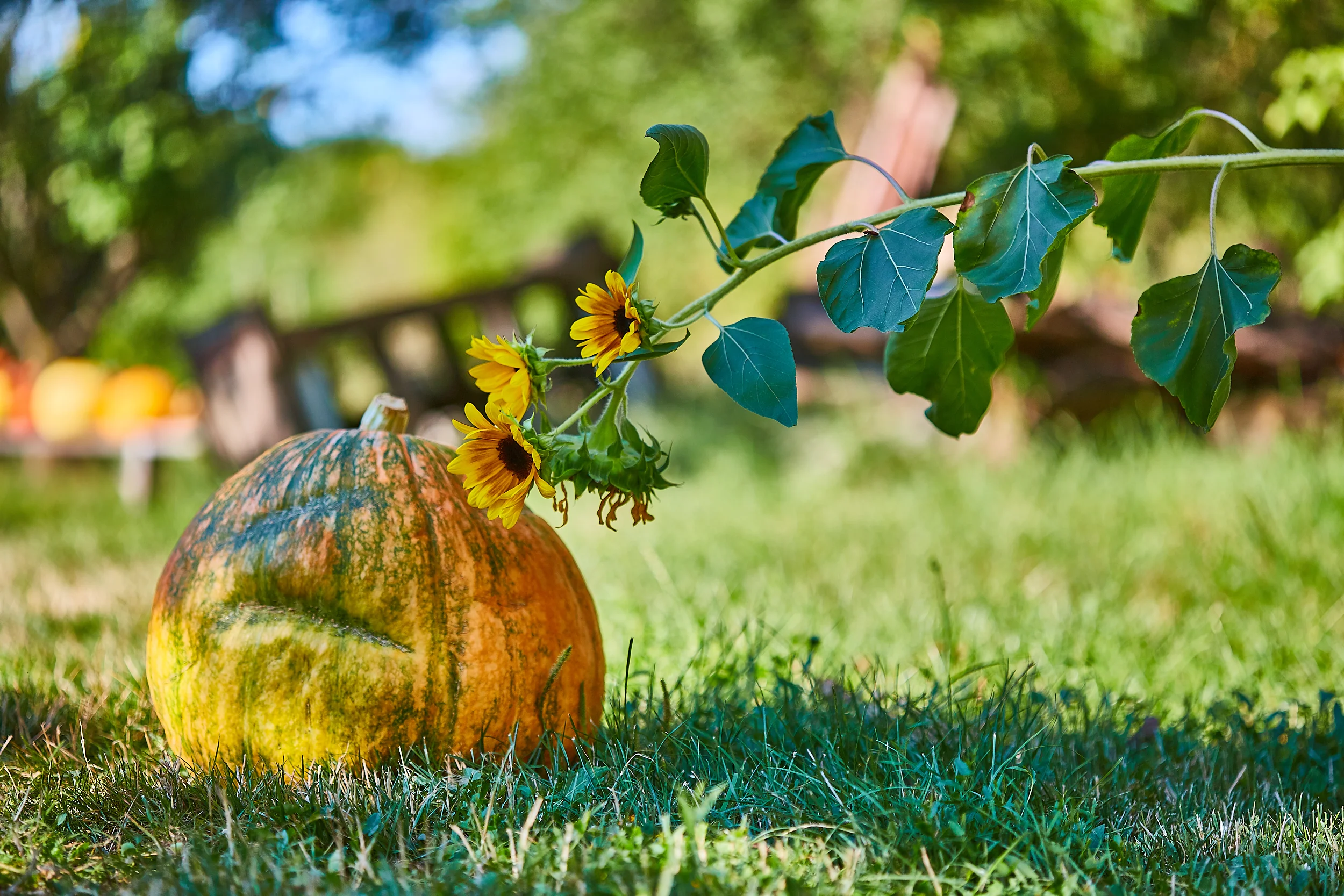 Stein und Garten-149.jpg