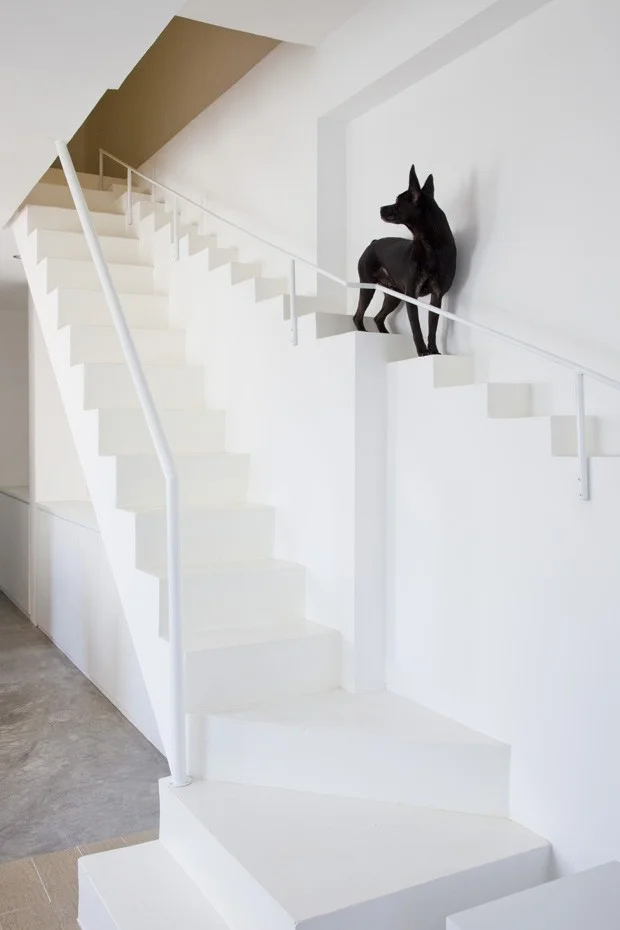 Foto da escada para cachorros - Fonte: http://casavogue.globo.com/Arquitetura/noticia/2013/07/casa-cachorros-escada.htm