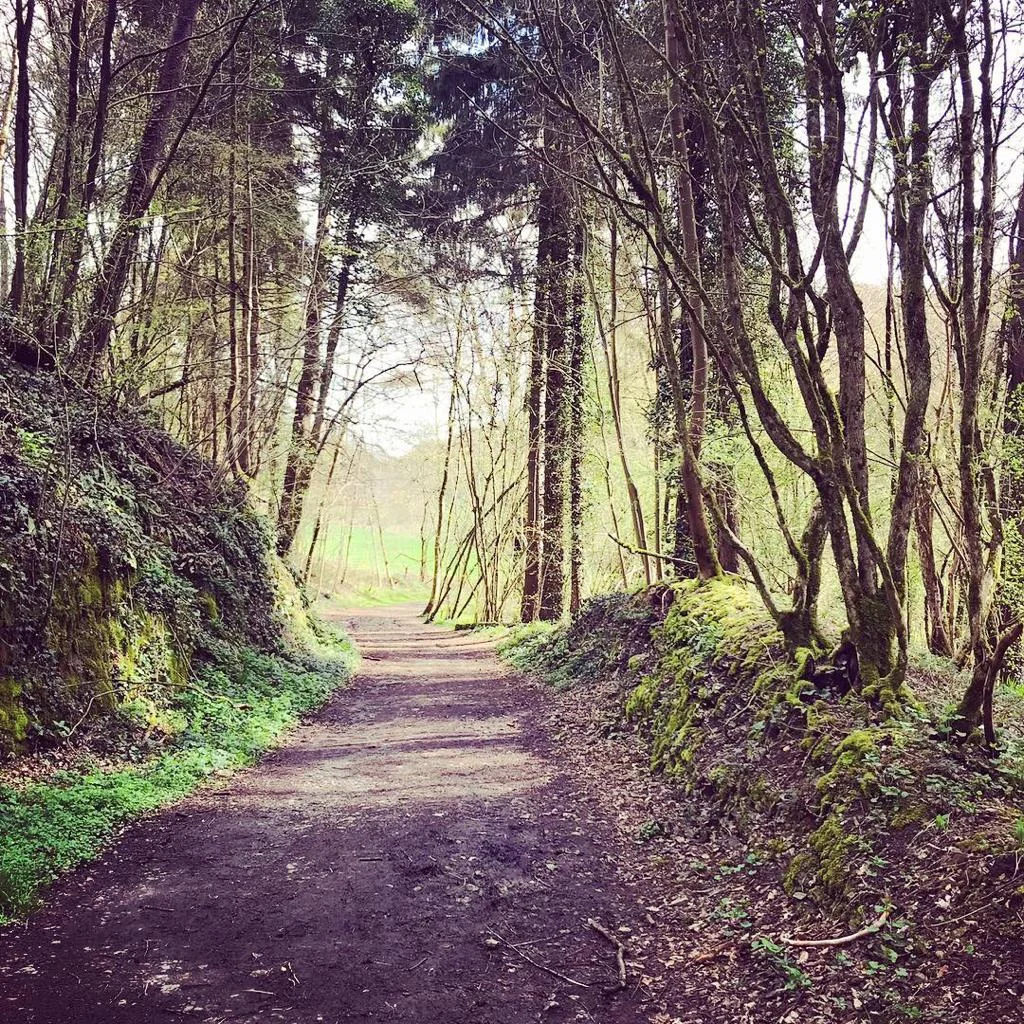 Retreatants will have plenty of free time to explore the natural wonders on the property.