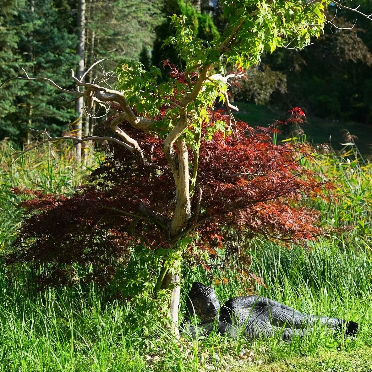 &ldquo;The end of yoga sadhana is
Wisdom. You might translate yoga sadhana here as
&lsquo;the yoga pilgrimage&rsquo; as it is a journey that leads somewhere, not the mere treadmill of thoughtless practice.&rdquo; -B.K.S. Iyengar, Light on Life 

I lo