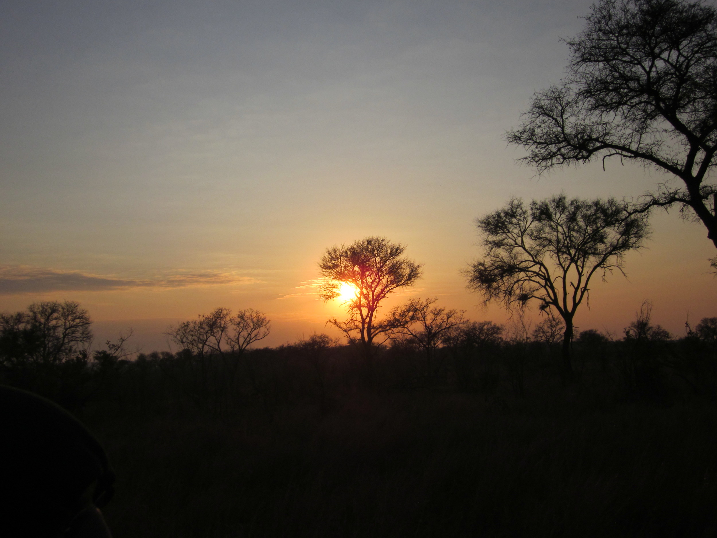 Krueger Park, South Africa